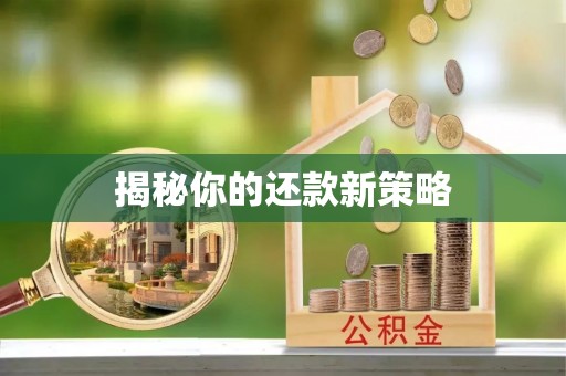 芝罘揭秘你的还款新策略