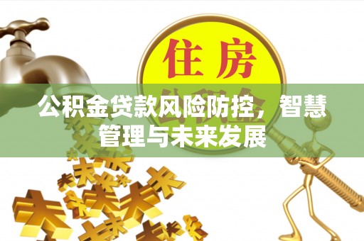 芝罘公积金贷款风险防控，智慧管理与未来发展