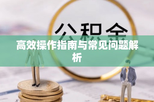 芝罘高效操作指南与常见问题解析
