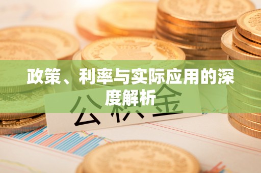 芝罘政策、利率与实际应用的深度解析
