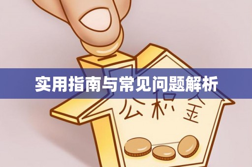 芝罘实用指南与常见问题解析