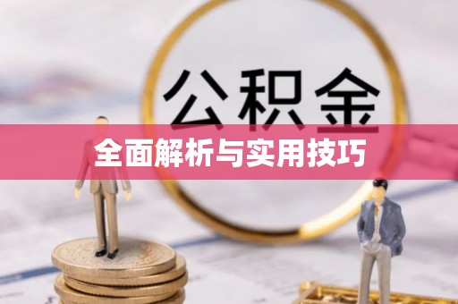芝罘全面解析与实用技巧