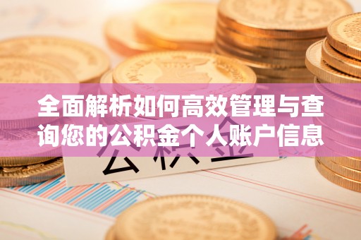 芝罘全面解析如何高效管理与查询您的公积金个人账户信息