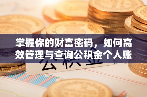 芝罘掌握你的财富密码，如何高效管理与查询公积金个人账户信息