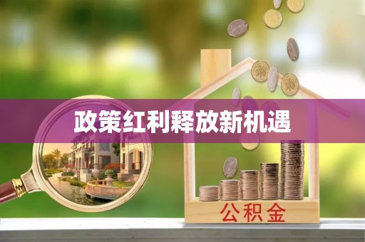 芝罘政策红利释放新机遇