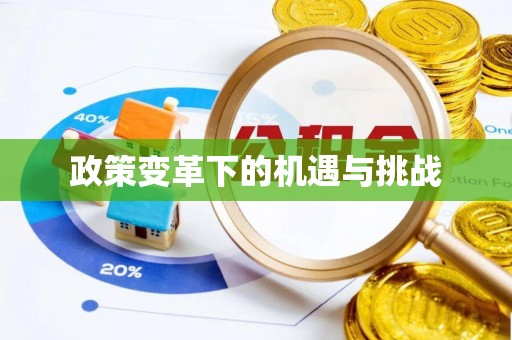 芝罘政策变革下的机遇与挑战