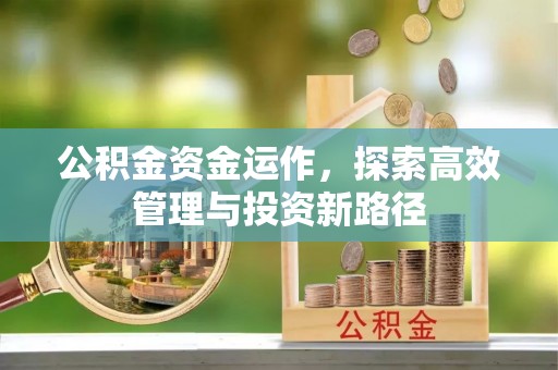 芝罘公积金资金运作，探索高效管理与投资新路径