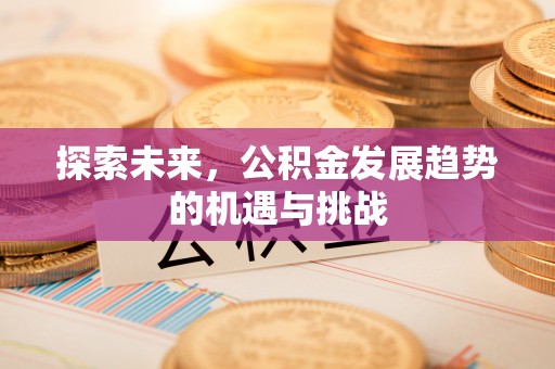 芝罘探索未来，公积金发展趋势的机遇与挑战