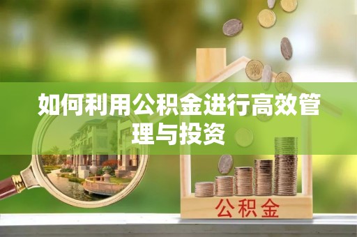 芝罘如何利用公积金进行高效管理与投资