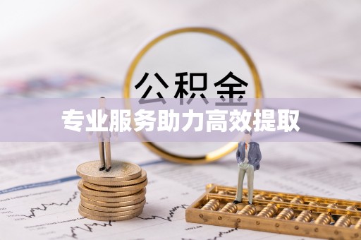芝罘专业服务助力高效提取