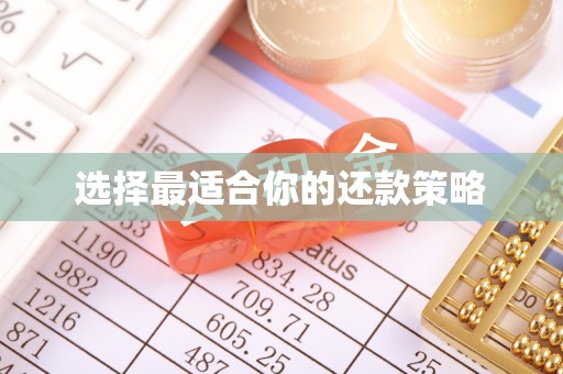 芝罘选择最适合你的还款策略