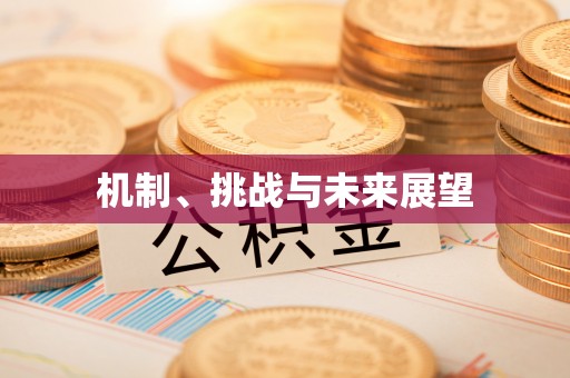 芝罘机制、挑战与未来展望
